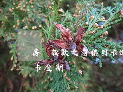 房貸放款之前信用卡逾期 房貸放款之前信用卡逾期