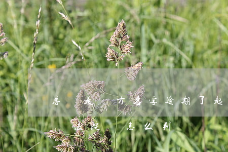 房貸是雙方名字逾期了起訴誰(房貸逾期被起訴法院會怎么判)