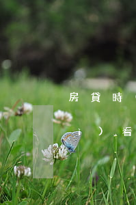 房貸時(shí)會(huì)不會(huì)看信用卡透支(買(mǎi)房可以用信用卡透支嗎)