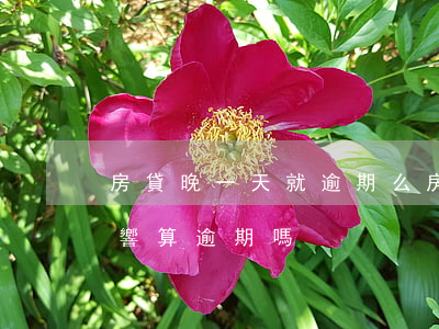 房貸晚一天就逾期么(房貸晚還一天有什么影響?算逾期嗎)