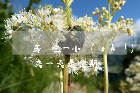 房貸晚一小時(shí)交算逾期么(房貸晚交一天是逾期嗎)