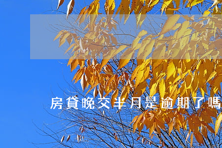 房貸晚交半月是逾期了嗎(逾期交房貸會怎樣)