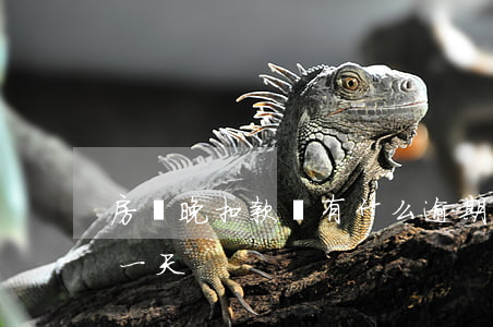 房貸晚扣款會有什么逾期(銀行房貸扣款逾期一天)
