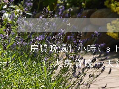 房貸晚還1小時(shí)算逾期嗎(個(gè)人房貸晚一天還款會(huì)逾期嗎)