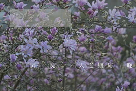 房貸晚還兩天逾期(房貸晚還兩天算逾期嗎)