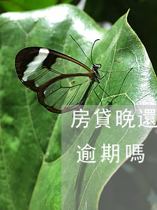 房貸晚還兩小時算逾期嗎(房貸晚還兩小時算逾期嗎)
