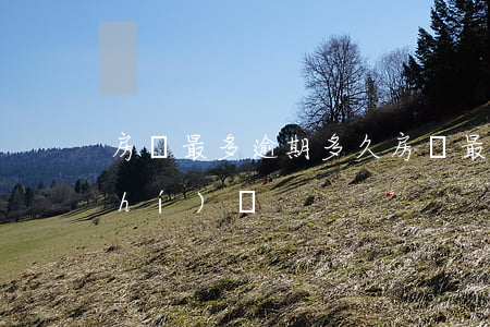 房貸最多逾期多久(房貸最多逾期多長時(shí)間)