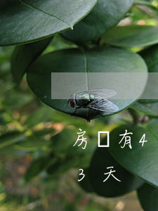 房貸有4次逾期2天的(房貸有兩次逾期沒超3天)