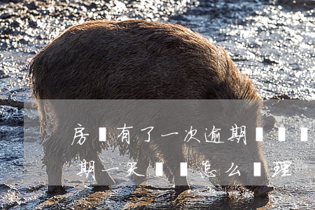 房貸有了一次逾期記錄嗎(房貸超過幾天算逾期一天記錄怎么處理)