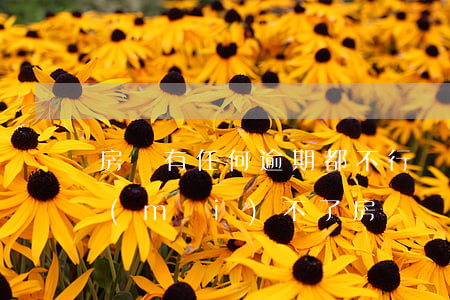房貸有任何逾期都不行嗎(貸款逾期是不是買(mǎi)不了房)