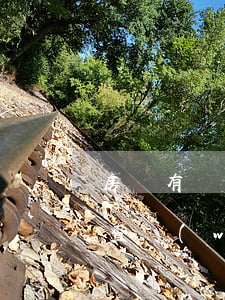 房貸有網(wǎng)商貸記錄未逾期(怎么查網(wǎng)商貸有沒(méi)有逾期記錄)
