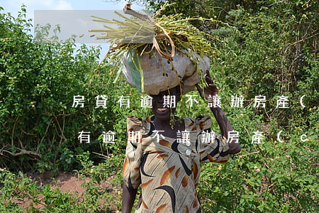 房貸有逾期不讓辦房產(chǎn)證(房貸有逾期不讓辦房產(chǎn)證)