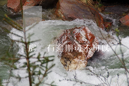 房貸有逾期可不可以過戶(貸款買的期房可以過戶嗎)