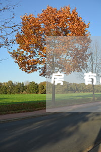 房貸有逾期影響信用卡額度