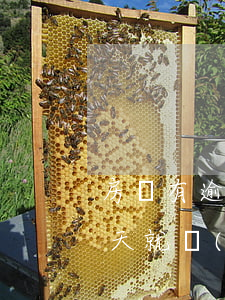 房貸有逾期怎么辦(房貸有逾期怎么辦?逾期一天就會(huì)上征信嗎?)