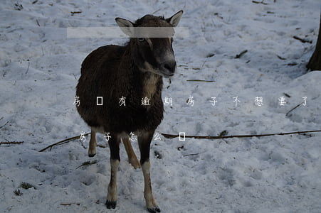 房貸有逾期房子不想要了 有逾期貸不了款買房子怎么辦?