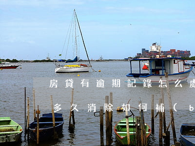 房貸有逾期記錄怎么處理(房貸逾期征信記錄多久消除 如何補(bǔ)救)