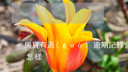 房貸有過(guò)逾期記錄會(huì)怎樣