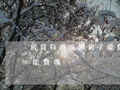 房貸有過逾期房子能賣嗎(房貸有過逾期房子能賣嗎)