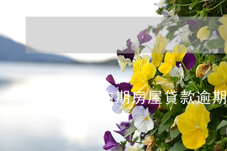 房貸期逾期，房屋貸款逾期了