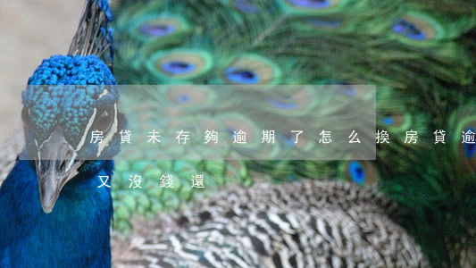 房貸未存夠逾期了怎么換(房貸逾期了怎么辦又沒錢還)