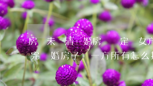 房貸未還清離婚房產決定歸女方(房貸沒有還完離婚房子歸一方所有怎么操作)