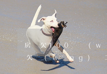 房貸欠100萬網(wǎng)貸欠20萬(欠網(wǎng)貸二十萬)