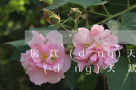 房貸款當(dāng)天還款算逾期嗎(貸款當(dāng)天還款算逾期嗎?)