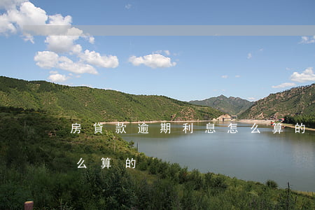 房貸款逾期利息怎么算的(房貸款逾期利息怎么算的)