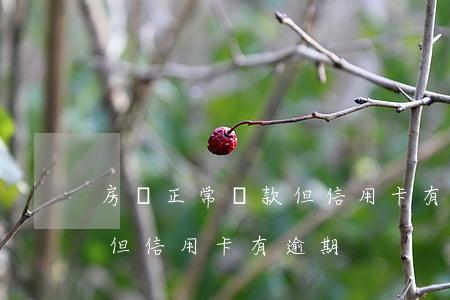 房貸正常還款但信用卡有逾期(房貸正常還款但信用卡有逾期)