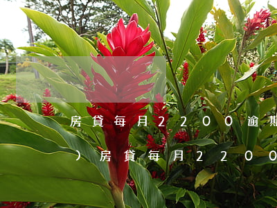 房貸每月2200逾期罰多少錢(qián)(房貸每月2200逾期罰多少錢(qián))
