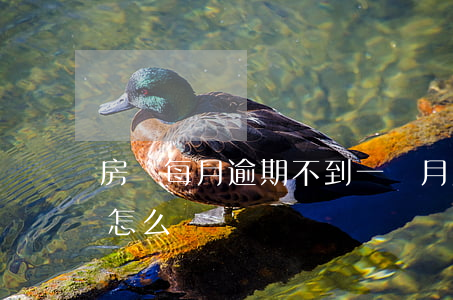 房貸每月逾期不到一個月(房貸逾期一個禮拜怎么辦)