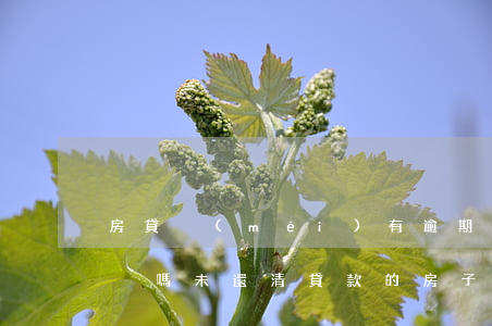 房貸沒(méi)有逾期可以過(guò)戶嗎(未還清貸款的房子可以過(guò)戶嗎)