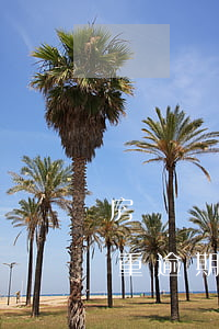房貸沒(méi)逾期信用卡嚴(yán)重逾期（信用卡逾期只有一套房子）