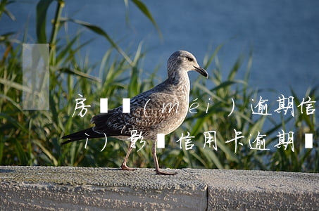 房貸沒(méi)逾期信用卡逾期會(huì)影響（信用卡逾期沒(méi)有還清會(huì)影響房貸）