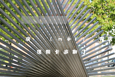 房貸沒(méi)還完信用卡逾期(正在還房貸信用卡逾期了)