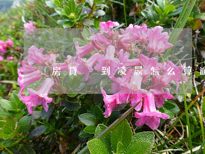 房貸沒到凌晨怎么算逾期(房貸怎么才算逾期)