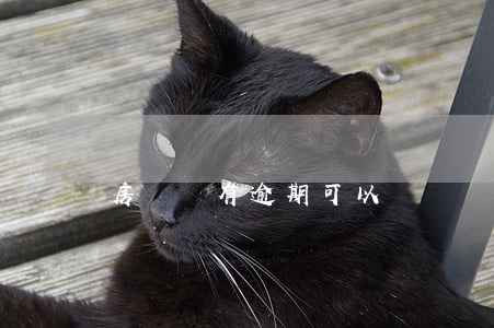 房貸沒有逾期可以車貸嗎(沒逾期車貸必過嗎)