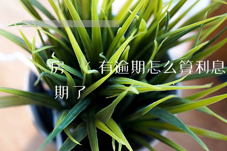 房貸沒有逾期怎么算利息(貸款利息不夠扣逾期了)