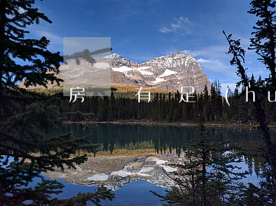 房貸沒有還足會(huì)算逾期嗎