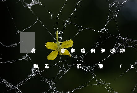 房貸沒逾期信用卡逾期會影響（信用卡欠款逾期未還會影響房產(chǎn)嗎）