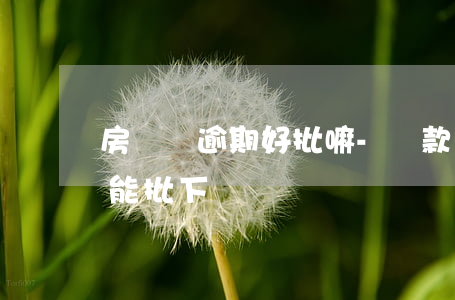 房貸沒逾期好批嘛-貸款多了沒有逾期買房能批下來嗎
