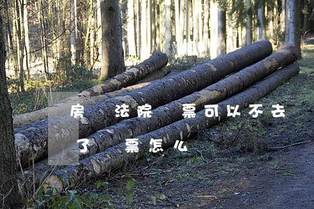 房貸法院傳票可以不去嗎(房貸逾期了法院給了傳票怎么辦)