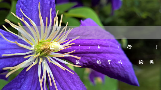 房貸法院執(zhí)行這個(gè)時(shí)候離婚可以嗎(按揭貸款的房子法院可以執(zhí)行嗎)