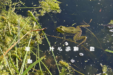 房貸為什么逾期還款記錄(房貸還款日顯示逾期)
