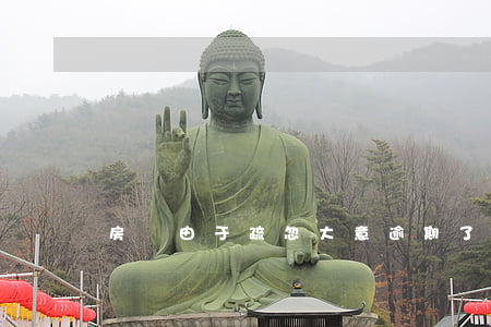 房貸由于疏忽大意逾期了(房子貸款逾期)