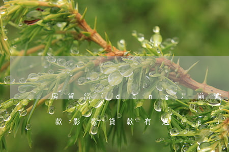 房貸當(dāng)前逾期對(duì)貸款影響(貸款有過(guò)逾期會(huì)影響房貸么)