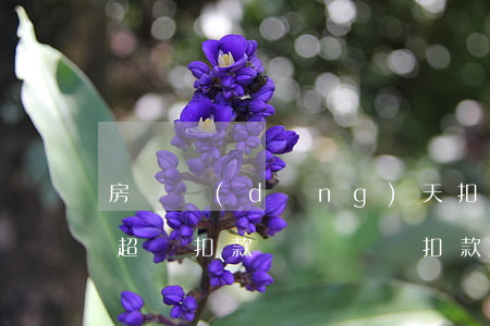 房貸當(dāng)天扣款還算逾期嗎(房貸超過扣款時間還會扣款嗎)