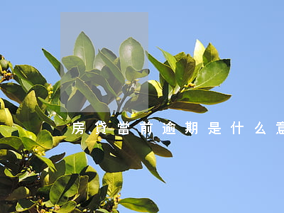 房貸當前逾期是什么意思