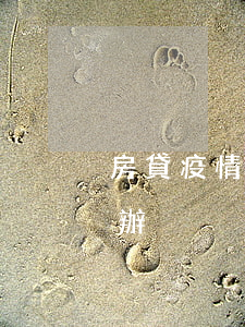 房貸疫情期間逾期(房貸疫情期間逾期了怎么辦)